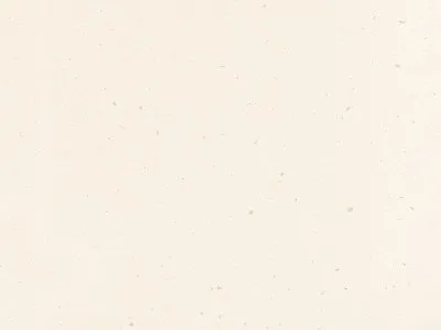 Rice Paper