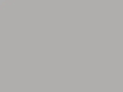 Silver Gray